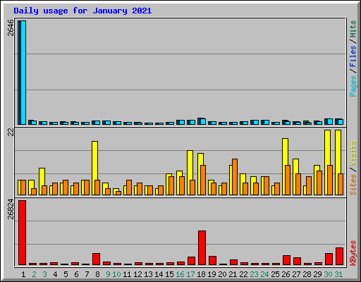 Daily usage for January 2021