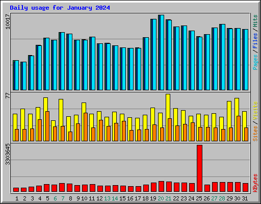 Daily usage for January 2024