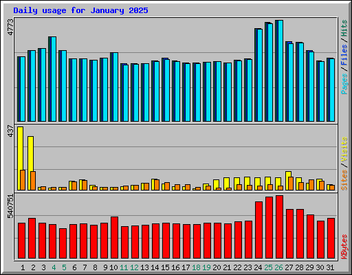 Daily usage for January 2025