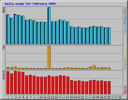 Daily usage for February 2025