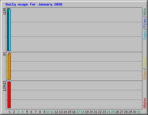 Daily usage for January 2026