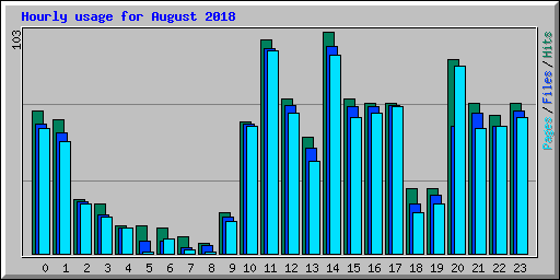 Hourly usage for August 2018
