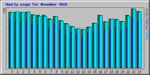 Hourly usage for November 2018