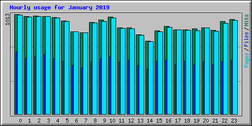 Hourly usage for January 2019