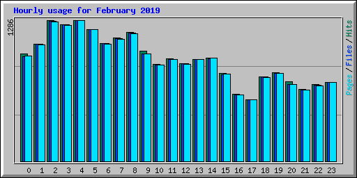 Hourly usage for February 2019