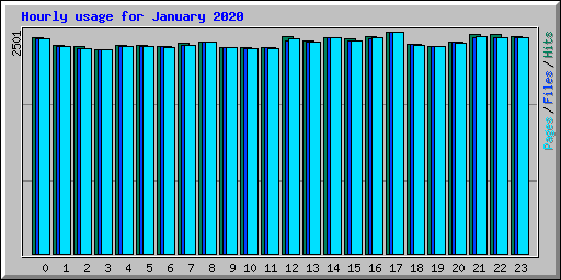 Hourly usage for January 2020