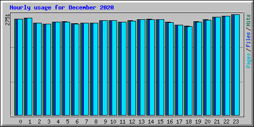 Hourly usage for December 2020