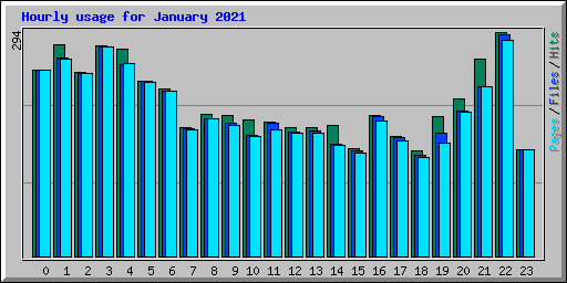 Hourly usage for January 2021