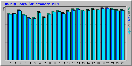Hourly usage for November 2021
