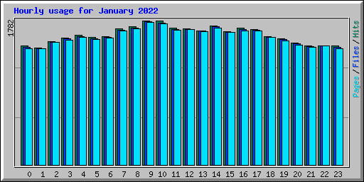 Hourly usage for January 2022