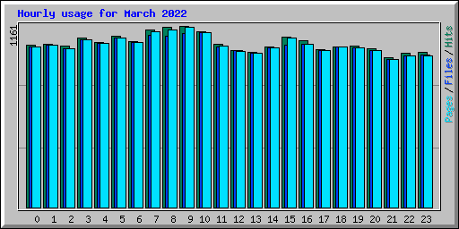 Hourly usage for March 2022