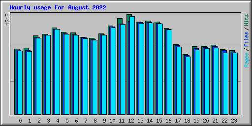 Hourly usage for August 2022