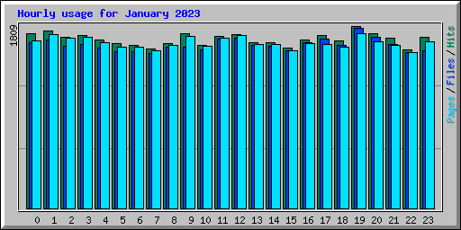 Hourly usage for January 2023