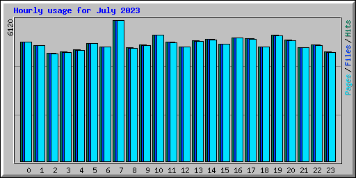Hourly usage for July 2023