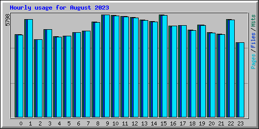 Hourly usage for August 2023