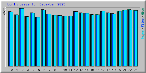 Hourly usage for December 2023