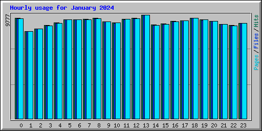 Hourly usage for January 2024