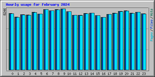 Hourly usage for February 2024