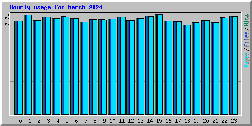 Hourly usage for March 2024