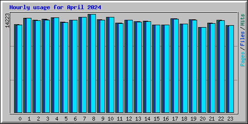 Hourly usage for April 2024