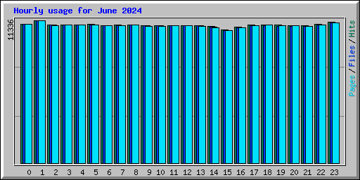 Hourly usage for June 2024