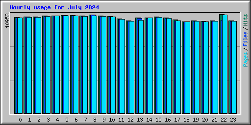 Hourly usage for July 2024