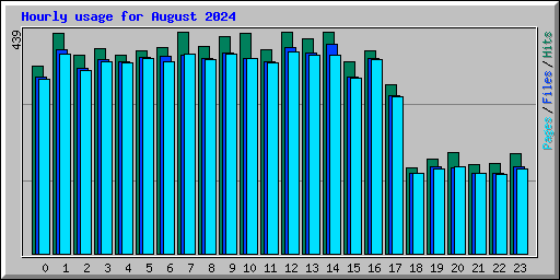 Hourly usage for August 2024