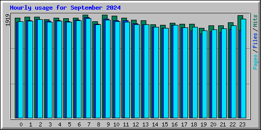 Hourly usage for September 2024