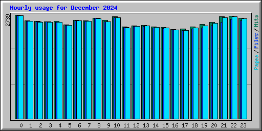 Hourly usage for December 2024