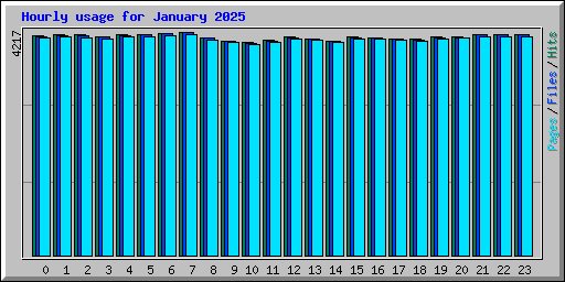 Hourly usage for January 2025