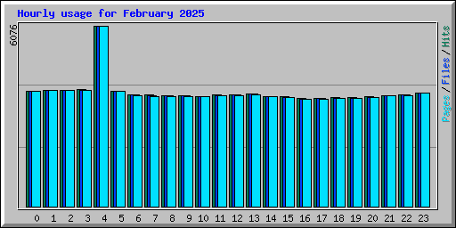 Hourly usage for February 2025