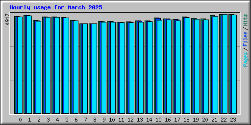 Hourly usage for March 2025