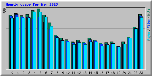 Hourly usage for May 2025
