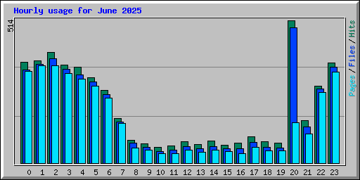 Hourly usage for June 2025