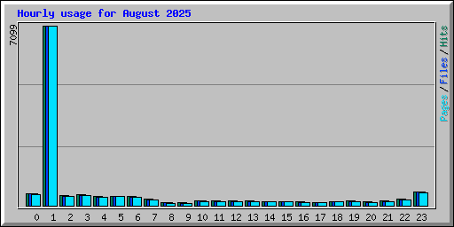 Hourly usage for August 2025