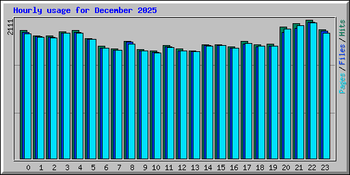 Hourly usage for December 2025