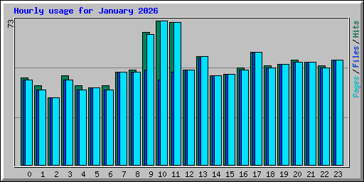 Hourly usage for January 2026