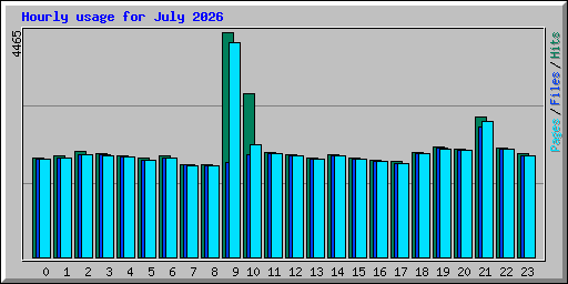 Hourly usage for July 2026