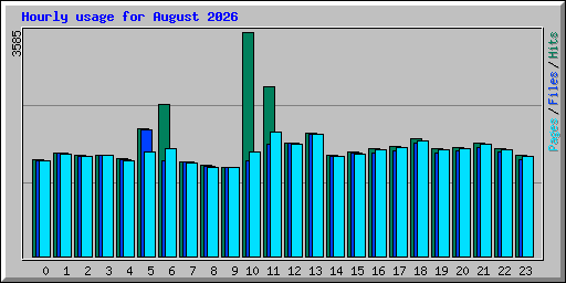 Hourly usage for August 2026